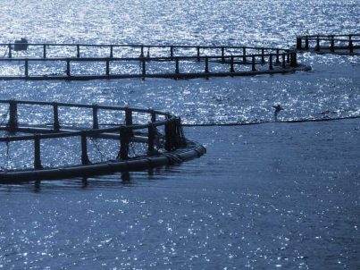 Round fish cages for Norwegian aquaculture