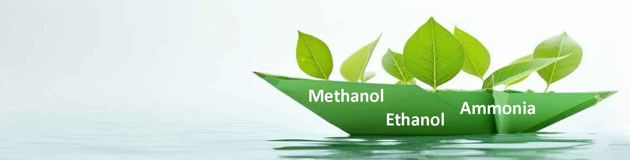 Marine propulsion fuel injection